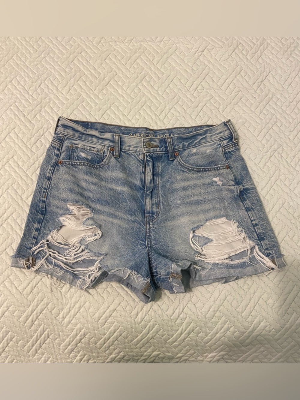American Eagle Outfitters Light Wash Distressed Denim Shorts